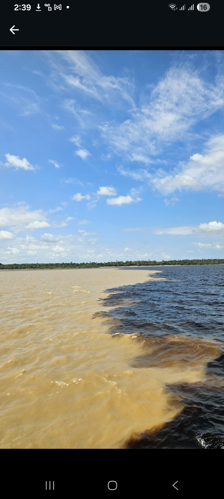 Encontro das Águas · Rio Negro e Solimões